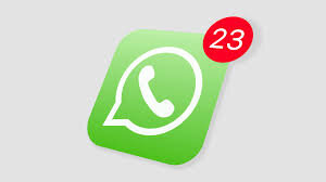 61561492